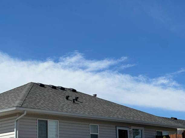 Best Asphalt Shingle Roofing  in Windy Hills, KY